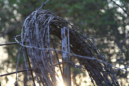 Friday Fictioneers Wed 20.04.16