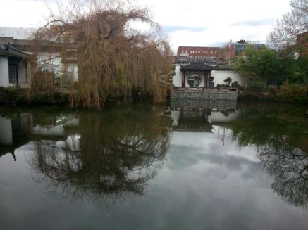 photo-prompt-5-october-2016