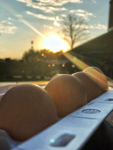 Photo prompt Todd Foltz