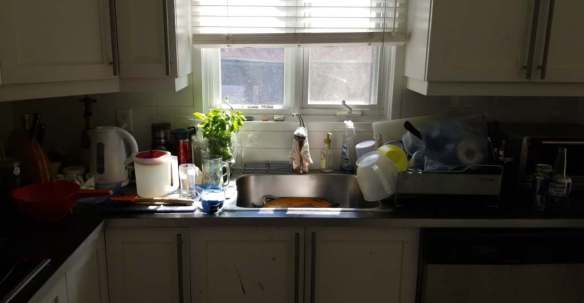 Friday Fictioneers photo prompt