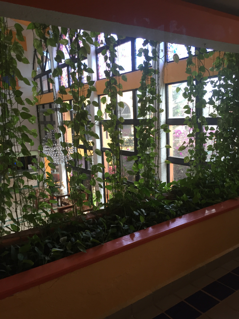 Simply 6 Minutes 5Aug20