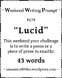 wk-179-lucid-1