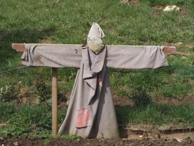 Photo Prompt by Sandra Crook