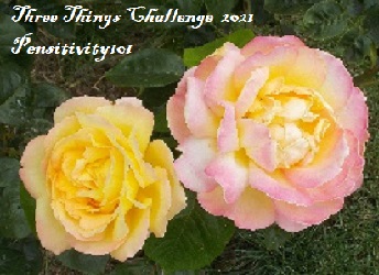 #3tc; #TTC; #pensitivity101