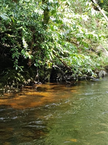 #fridayfictioneers #rochellewisoff-fields #flashfiction